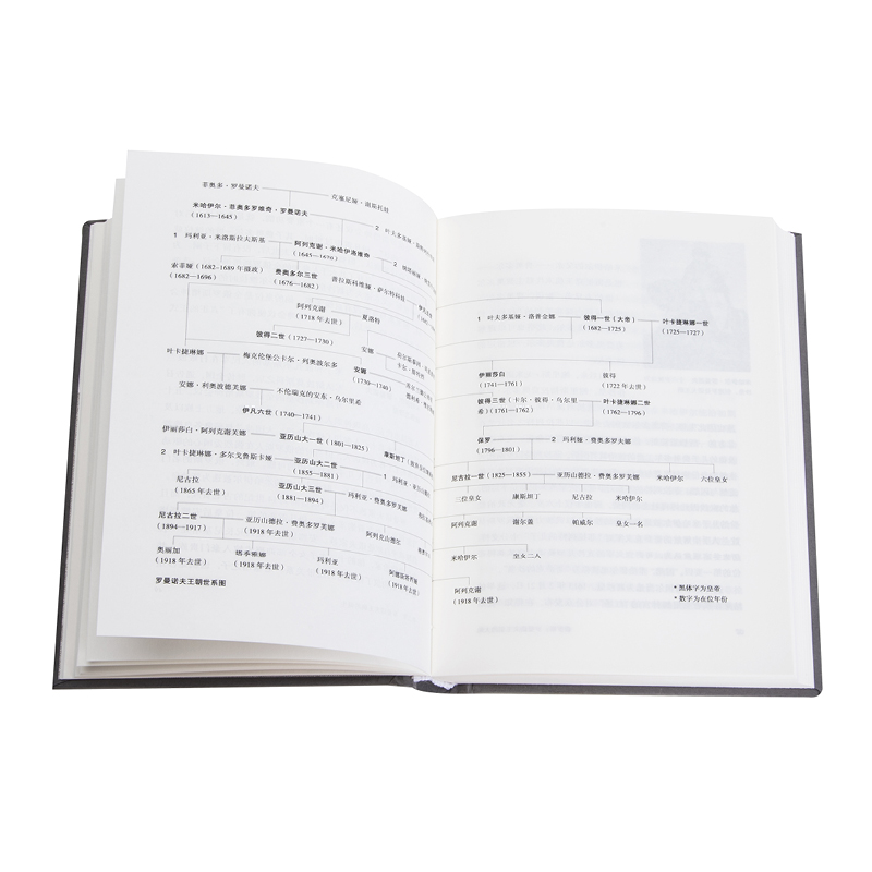 [正版]讲谈社 兴亡的世界史08 俄罗斯罗曼诺夫王朝的大地 直发高清大图