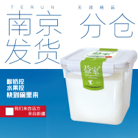 【预售7天内发货】TERUN天润酸奶老酸奶浓缩果味酸奶大桶酸奶益家酸奶2000g*1桶
