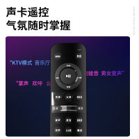 爱浪(AvliGHT) DX20-10pro户外广场舞音响直播K歌拉杆移动便携一体式大功率音箱抖音快手网红 10吋