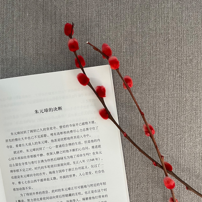 醉染图书明太祖朱元璋9787505755093高清大图