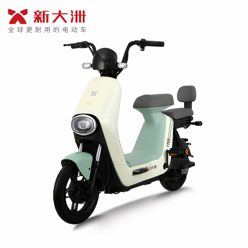 派乐/PALLA 乐颜 成人48V铅酸电池男女代步新大洲助力电动自行车 素颜绿