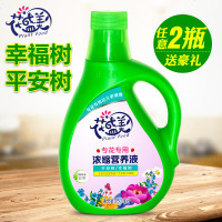 平安树幸福树专用肥料花肥营养液 植物盆栽通用室内客厅叶子变黄