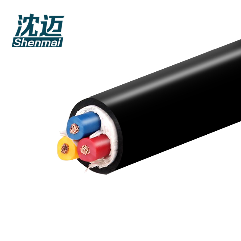 沈迈 护套软电线 ZR-RVV-3*6mm²/米高清大图