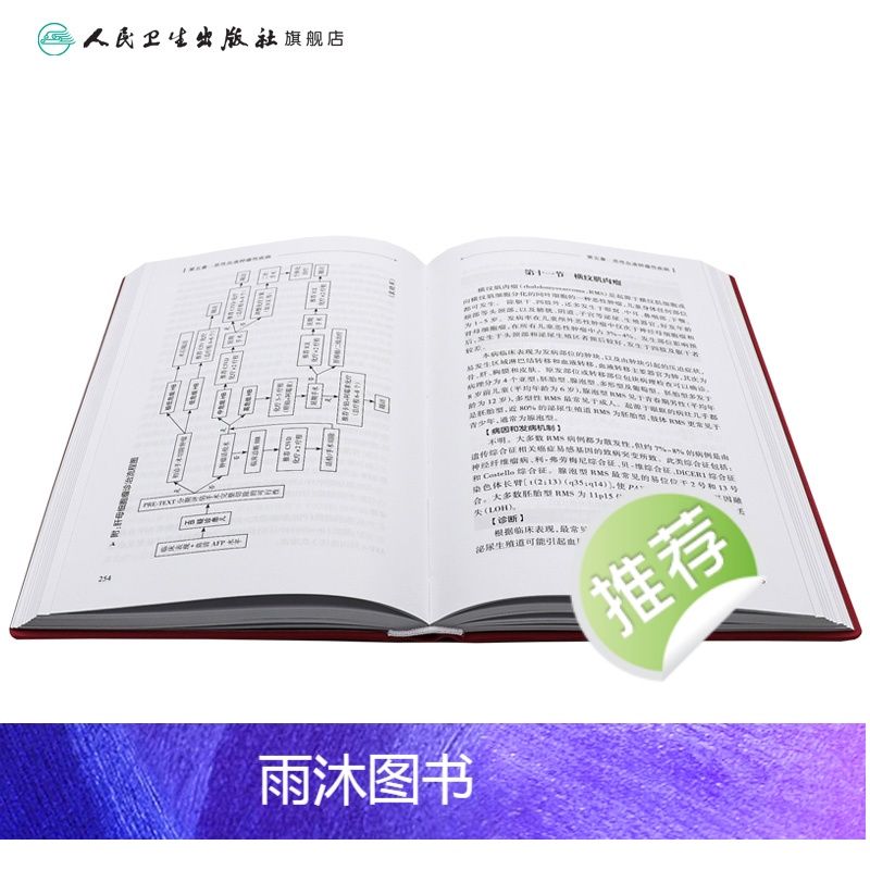 [正版]儿童血液系统疾病诊疗规范第2版实用儿科症状鉴别诊断学白血病血液病肿瘤出凝血风湿免疫用药临床营养支持治疗规培医学高清大图