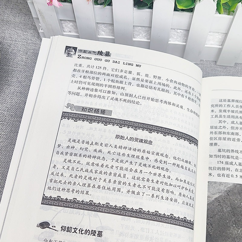 [正版]中国古代陵墓 中国传统民俗文化建筑系列 古代丧葬方式 秦始皇陵 三国帝陵 唐宋元明清时期的陵墓等不同的陵墓反映了