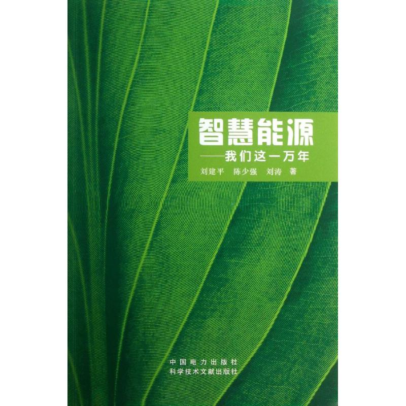 [M]智慧能源-9787512342910高清大图