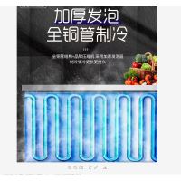 雄伟冷藏变温设备WX-BW-04