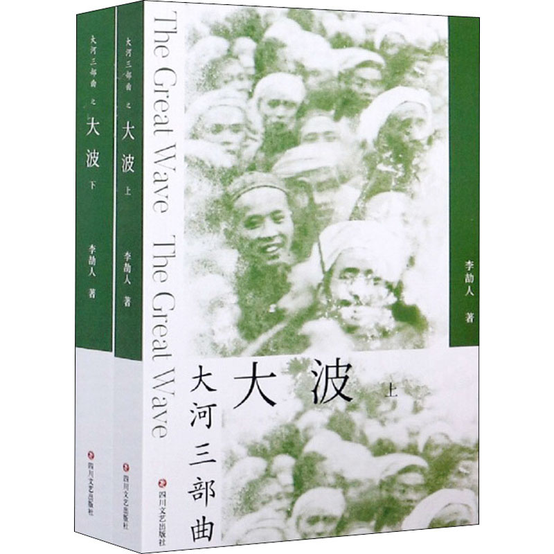 醉染图书大波(全2册)9787541156601高清大图