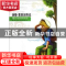 正版 汤姆·索亚历险记 (美)马克·吐温著 浙江人民出版社 97872130