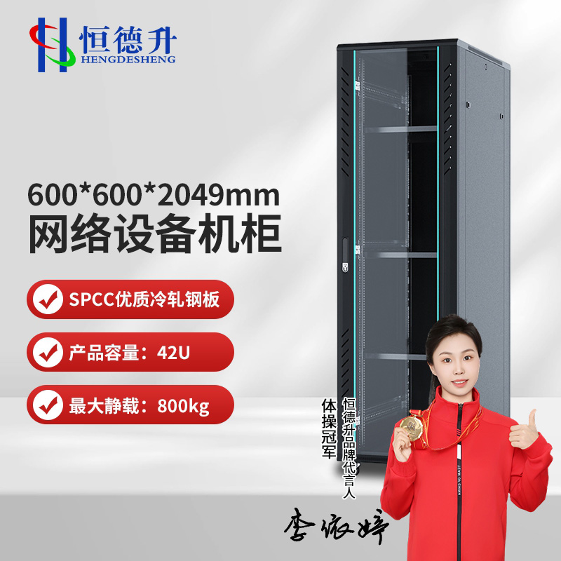 恒德升 HDS-A427SB6642 网络机柜 19英寸国际标准机柜 42U高清大图