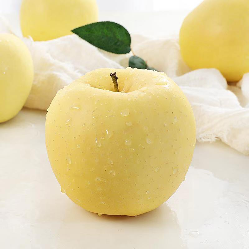烟台黄金帅苹果黄元帅新鲜水果山东黄苹果刮泥 5斤 中果