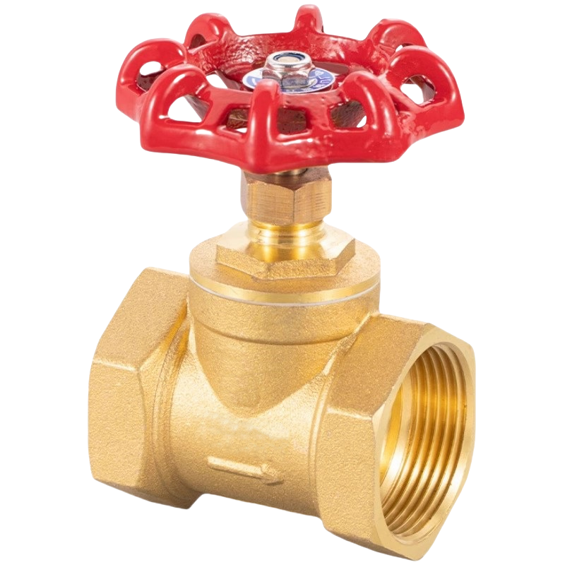 智铮朗月 铜闸阀 DN65 个高清大图