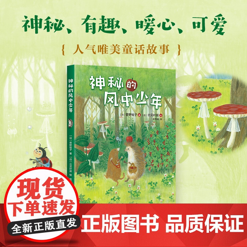 小刺猬奇遇记:神秘的风中少年 童话故事 图文结合 勇气 智慧 善良 欢笑 惊喜 神奇 奇妙 一二三四年级 课外读物 爱高清大图