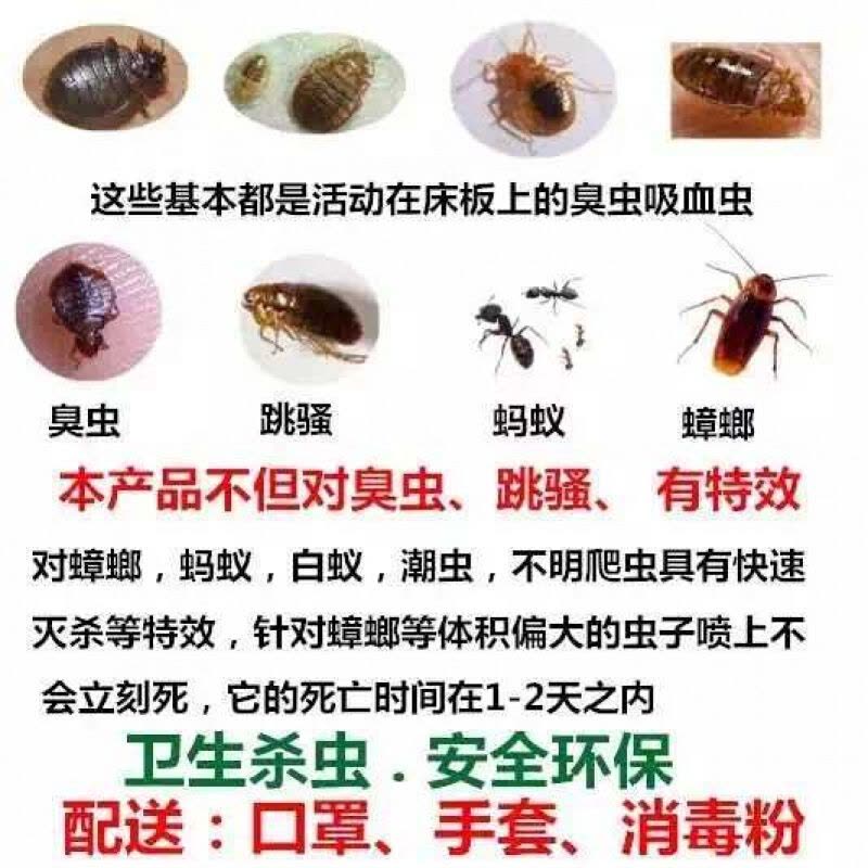 定制臭虫药专灭臭虫跳蚤床上吸血虫杀虫剂家用灭床虱药臭虫净图片
