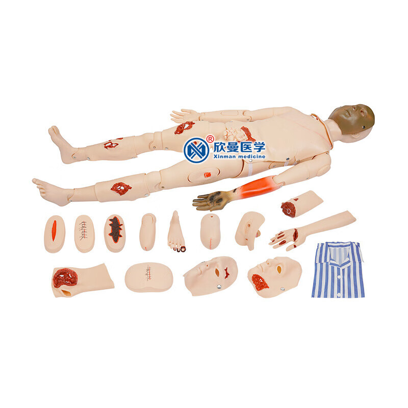 欣曼科教(XINMAN SCIENCE)高级全功能创伤护理人模型 创伤止血包扎操作训练模拟人XM-00132高清大图
