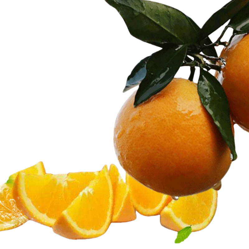 三峡中国脐橙之乡应季新鲜水果纽荷尔脐橙9斤大果70-75MM/箱高清大图