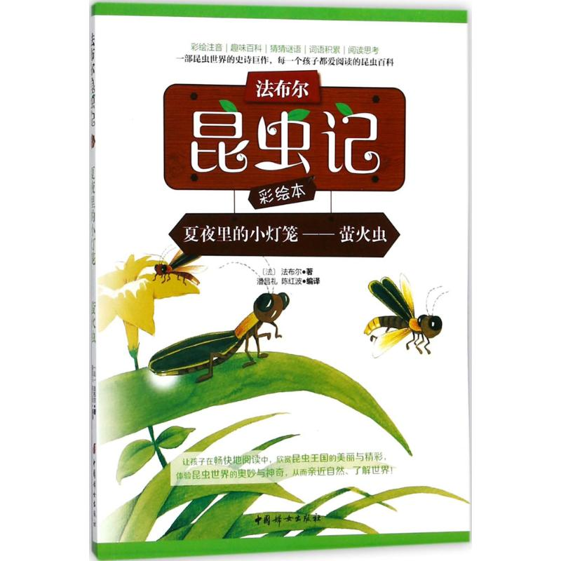 醉染图书夏夜里的小灯笼9787512714984高清大图