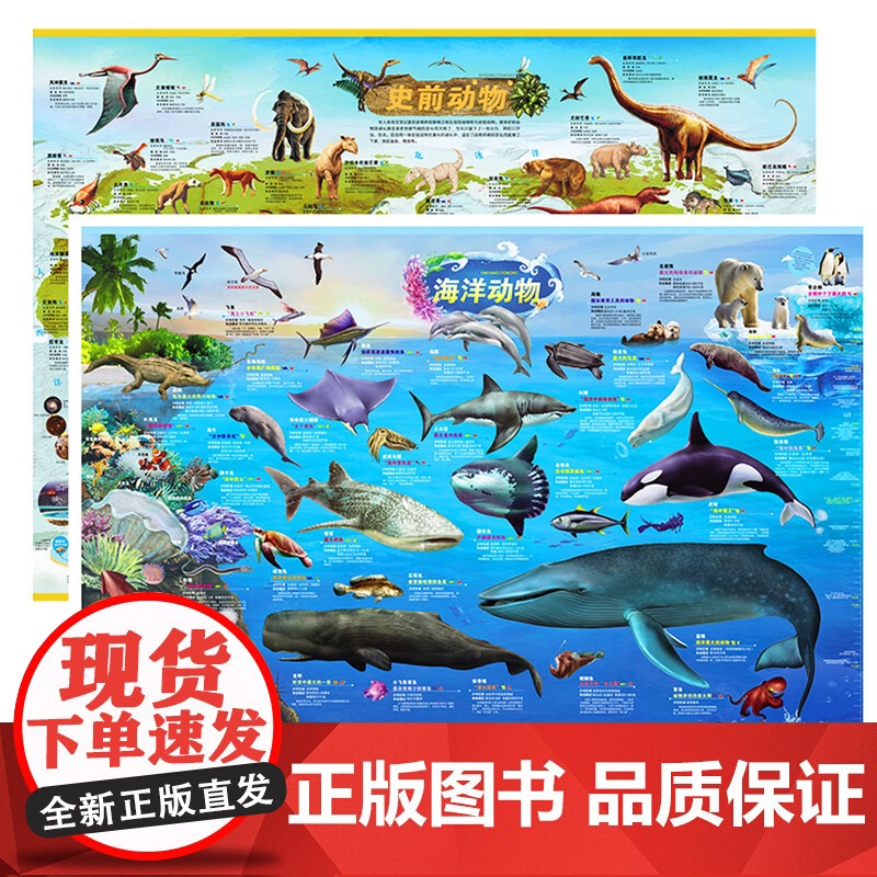 史前+海洋动物地图 墙贴儿童房专用超大挂图大尺寸高清远古恐龙书儿童科普百科全书启蒙高清大图