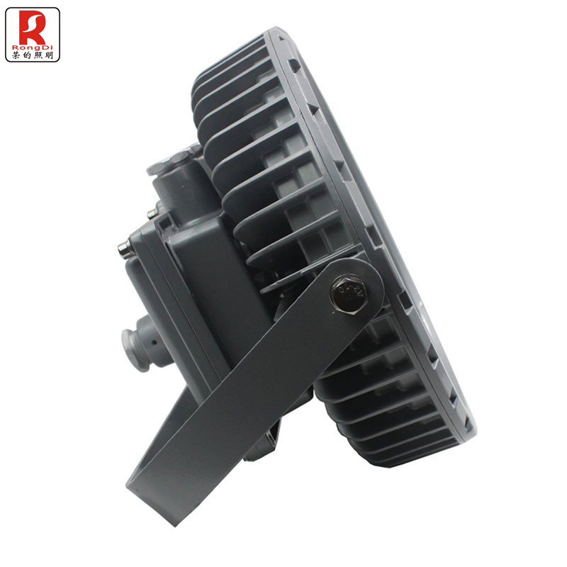 荣的LED泛光灯 ZR8181A 100W高清大图