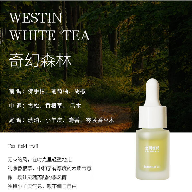 臻远 ZY-ZGTT-47 香薰晶石 火山套装喜马拉雅橙 奇幻森林(含10ml精油)高清大图
