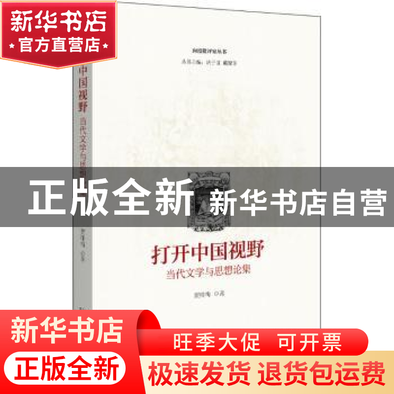 正版 打开中国视野——当代文学与思想论集 贺桂梅 北京大学出版高清大图