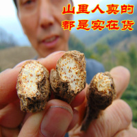2018大别山野生 苍术 茅苍术 野南苍术无硫新货天然仓术 500g