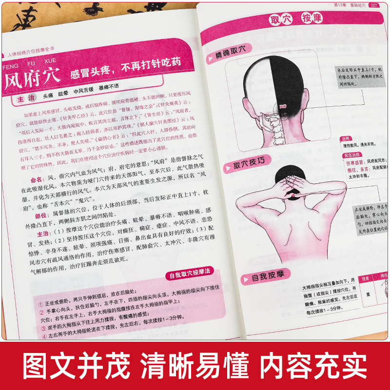 [正版]人体经络穴位按摩全书 日常养生按摩保健原理基本手法工具书 多种常见病对症穴位中医按摩疗法高清大图