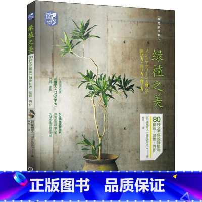 [正版]绿植之美 80种文艺感观叶植物挑选·装饰·养护 日本花植旅人(TRANSHIP) 著 佟凡 译 生活休闲