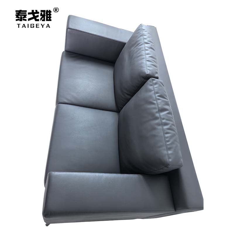 泰戈雅 双人沙发 TGY-102 张高清大图