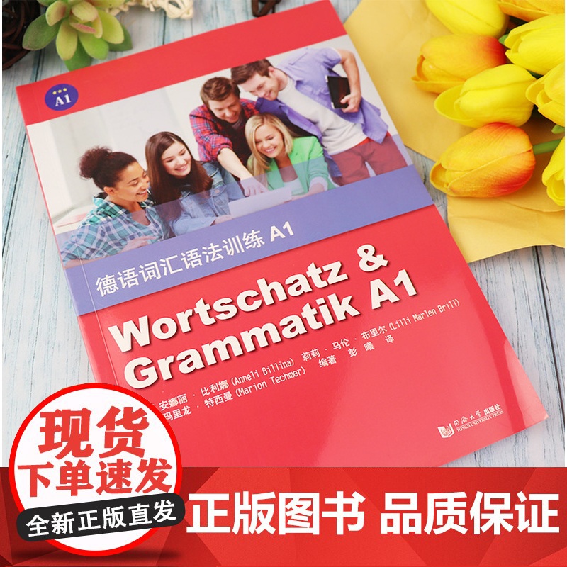 德语词汇语法训练A1安娜丽.比利娜编著 欧标德语A1考试备考 德语语法解析与练习德语欧标考试书籍德语自学入门教材同济大学高清大图