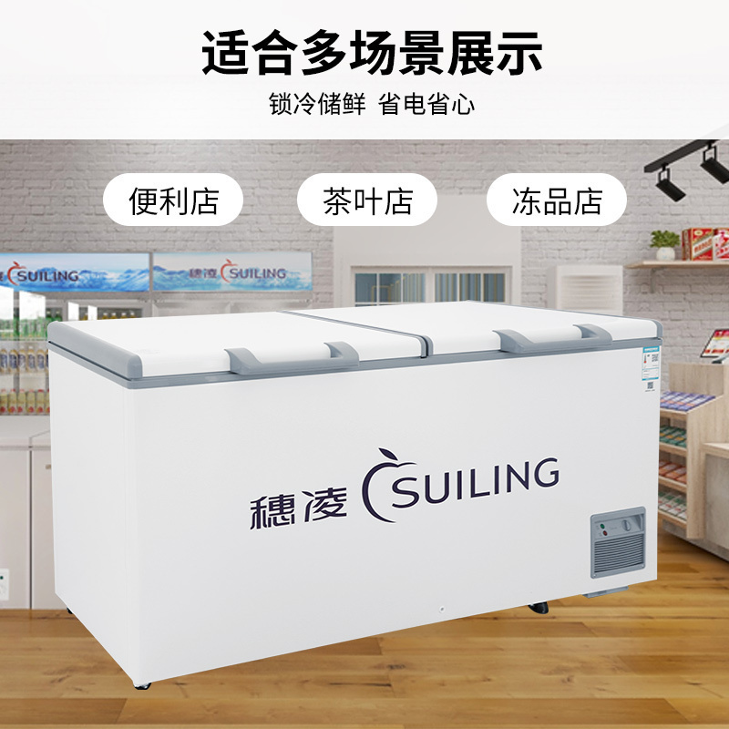 穗凌(SUILING)BD-605E单温大卧柜冰柜冷冻冷藏柜转换厨房冰箱保鲜柜速冻顶开门密封柜商用雪柜544升一级能效