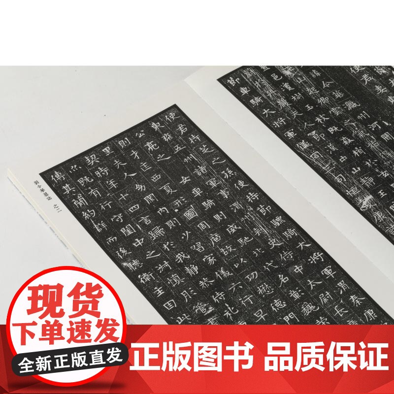隋代墓志精粹七杨景刘令华平梁公夫人王氏高善德皇甫颢李世洛宫人赵氏袁亮独孤俭元保宜 本社编上海书画出版社精选书法资料鉴赏高清大图