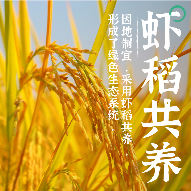 隆平芯米(洞庭虾稻米) 5kg高清大图