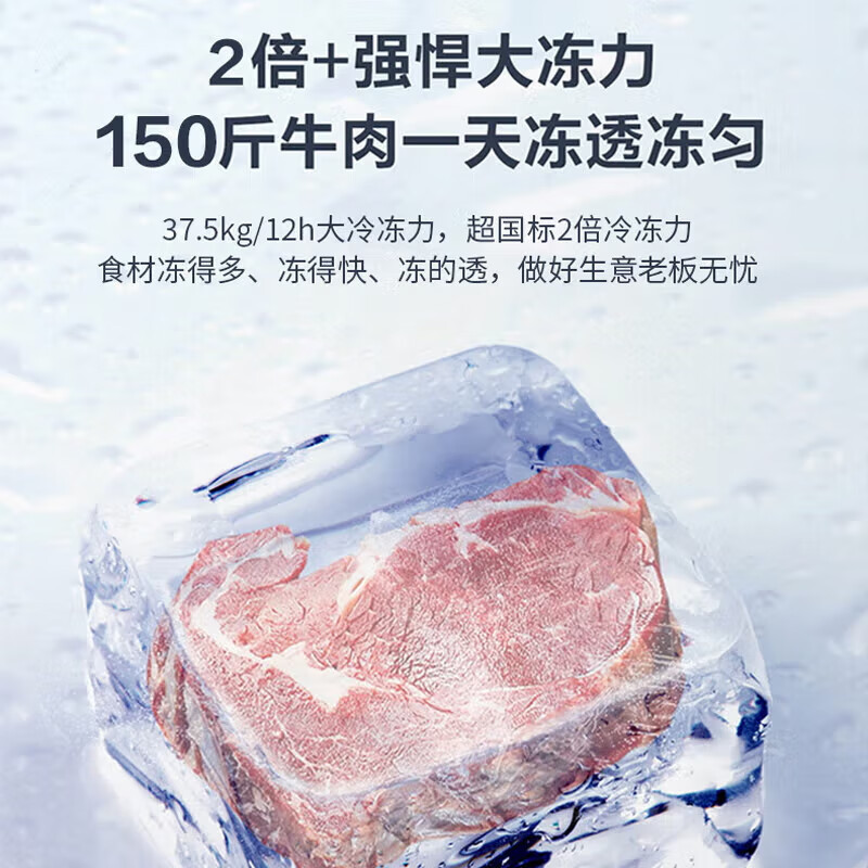 冰柜719升冷柜商用家用大容量冰箱冷藏冷冻转换全冷冻超低温海鲜深冷速冻卧式柜五面制高清大图