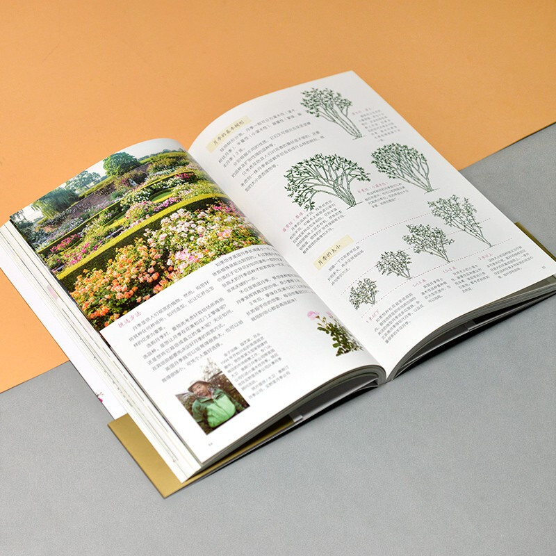 [醉染正版][书含章图鉴-玫瑰花月季花图鉴 700多种的鉴赏养护指南日本育种专家园艺大师的经验传授轻松培育出五彩斑斓的花高清大图