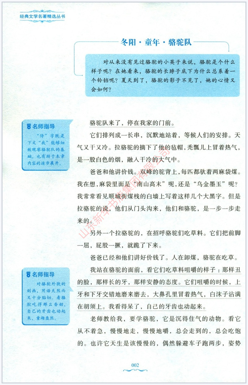 [正版]城南旧事林海音著余良丽丛书主编中学教辅文教让实际的童年过去 心灵的童年永存下来中小学生课外阅读读物 书店书籍高清大图
