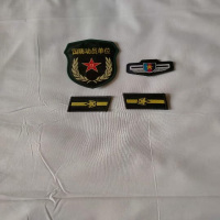 苏宁优品 专武干部领章
