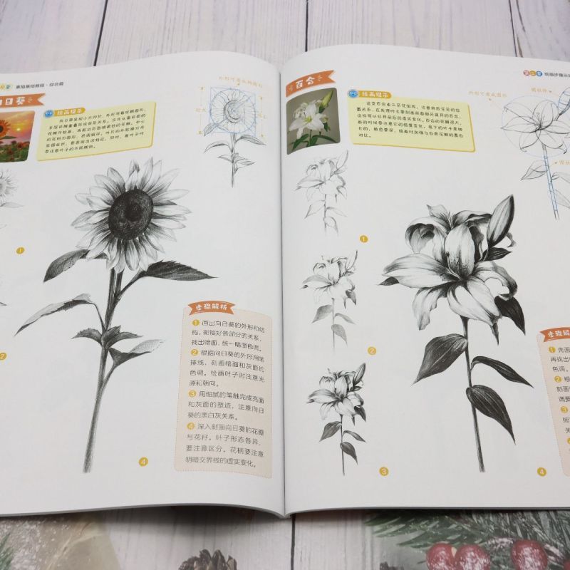 新启蒙素描基础教程.综合篇 [正版]新启蒙素描基础教程.综合篇