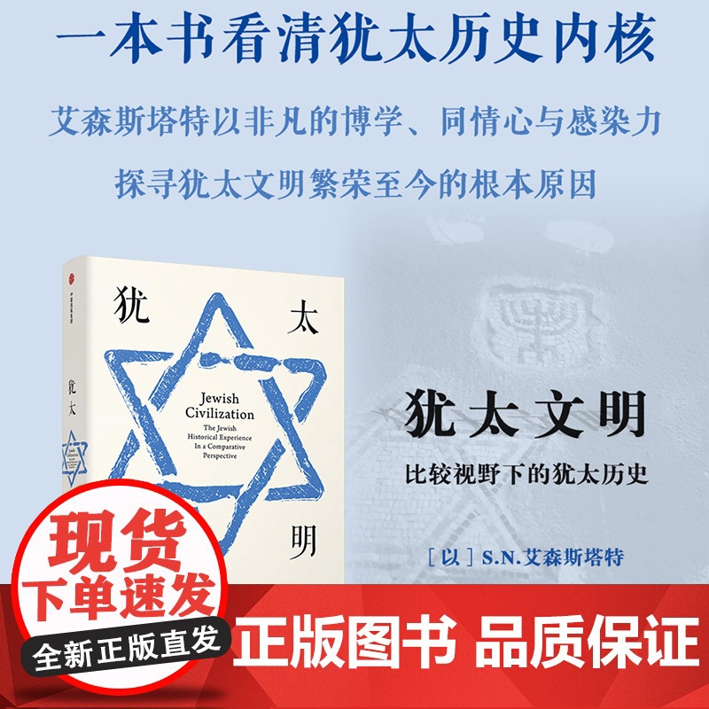 犹太文明 比较视野下的犹太历史 SN艾森斯塔特 著 一本书看清犹太历史内核 中信出版高清大图