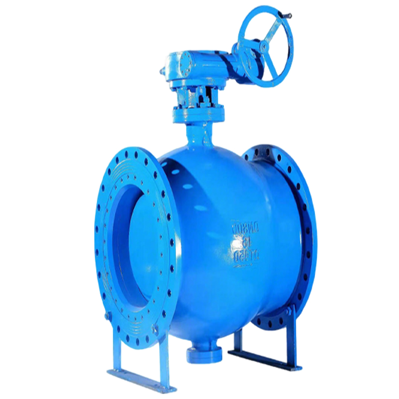 卡西斯顿 偏心半球阀 DN100 个高清大图