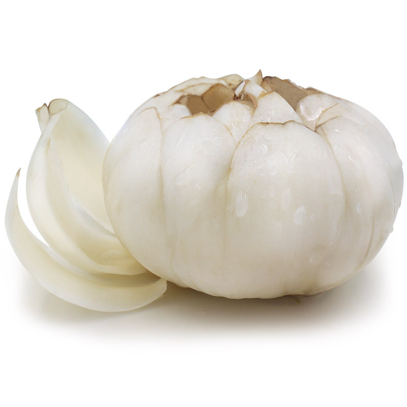 叼食甘肃兰州新鲜珍珠百合8头真空包装脆嫩甜现挖鲜甜百合