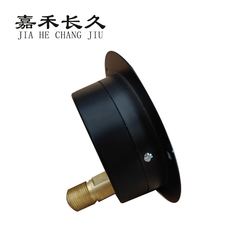 嘉禾长久 轴向带边压力表检测型 Y150ZT 块高清大图
