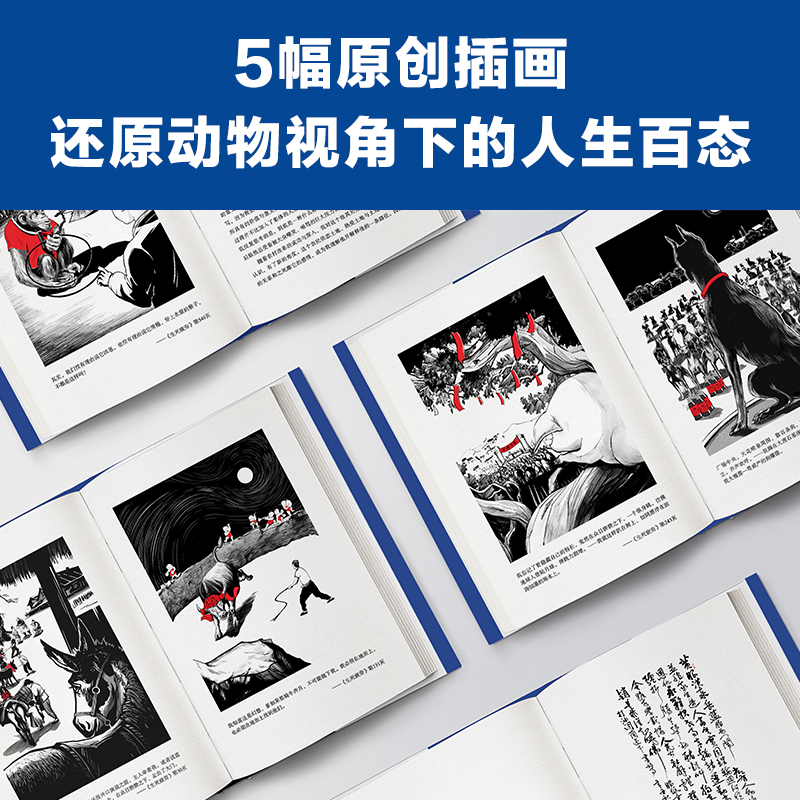 [正版]生死疲劳 莫言的书全集诺贝尔获奖作品 蛙檀香刑酒国红高粱家族晚熟的人的书莫言作品全集文学小说书籍读客高清大图
