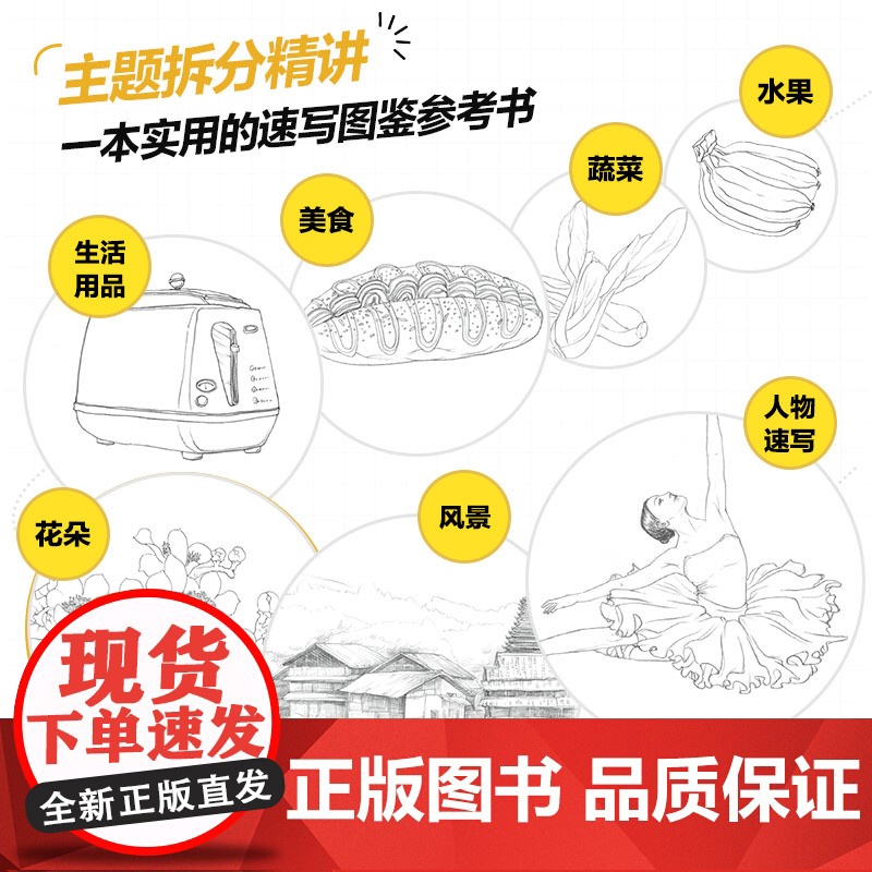 疯狂速写 速写1000例 速写临摹范本素描画册临摹本临摹画册速写书素描书籍画画入门自学基础速写素描基础教程书高清大图