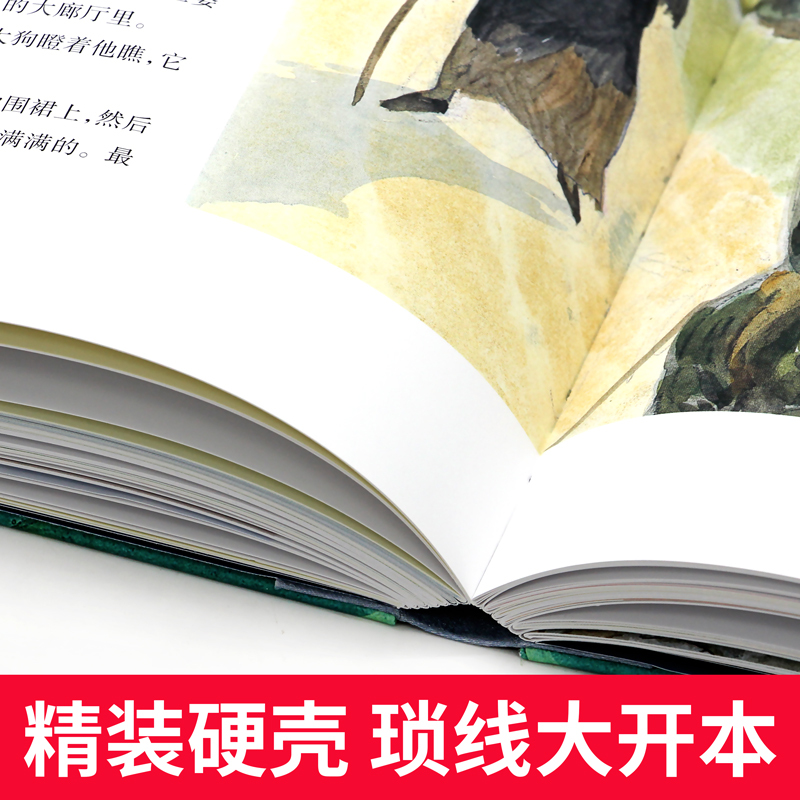 国际插画大师典藏·猫屋 [正版]精装大本 国际插画大师典藏全套4册 安徒生童话+格林童话+猫屋+小火车头精装典藏版 6-