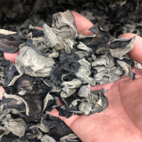 湖北三峡深山屈乡椴木木耳特级野生秋木耳新货肉厚优质湖北特产250g/500g