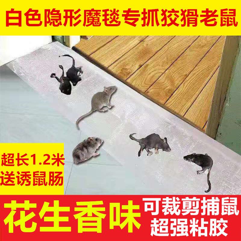 老鼠贴粘鼠板强力捕鼠器神器粘鼠魔毯粘老鼠板驱鼠灭鼠老鼠夹家用 [推荐]黑色魔毯4张(送诱鼠肠)