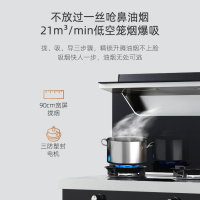 欧尼尔 集成灶 侧吸式环保灶自动清洗抽油烟机灶具消毒柜蒸箱烤箱二合一LX11-750mm单电机蒸烤消款 液化气