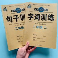 2本小学生2年级上册部编人教版同步句子训练+字词训练加标点照样子写句子补充完整二年级语文统编教材组词选词填空多音字默