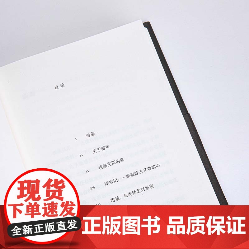 游隼 J. A. 贝克 豆瓣评分9.1年度外国文学TOP2 经典书影响超过半个世纪的伟大杰作 关于如何成为一只鹰的书 理高清大图